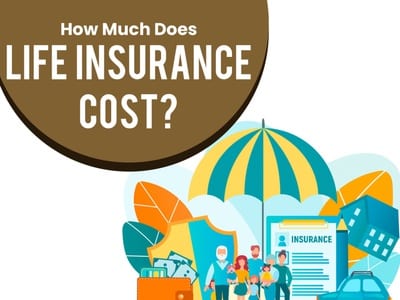 Term insurance price